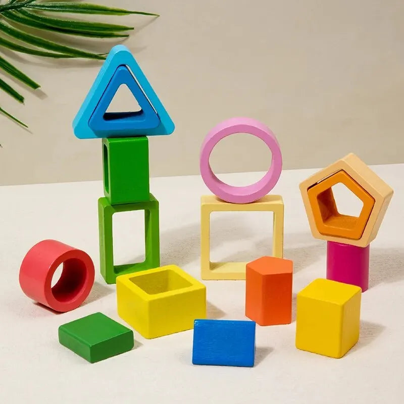 Wooden sorting toy 20 pieces close-up detail