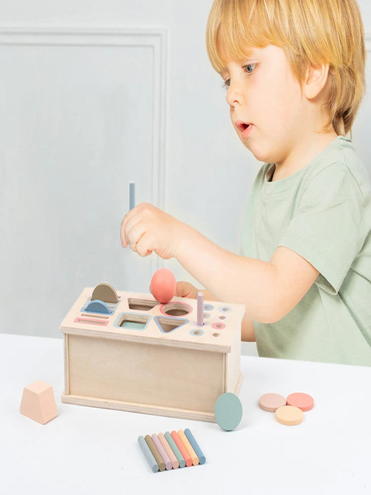 Educational color sorting toy close-up – natural wood