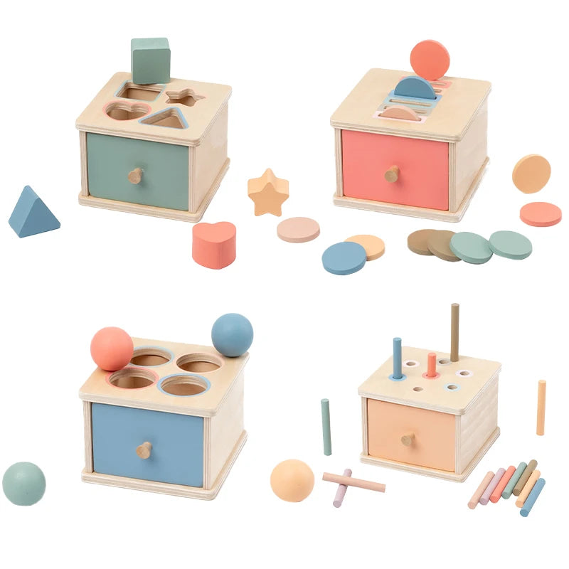 Montessori wooden color and shape sorting toy for ages 3-5