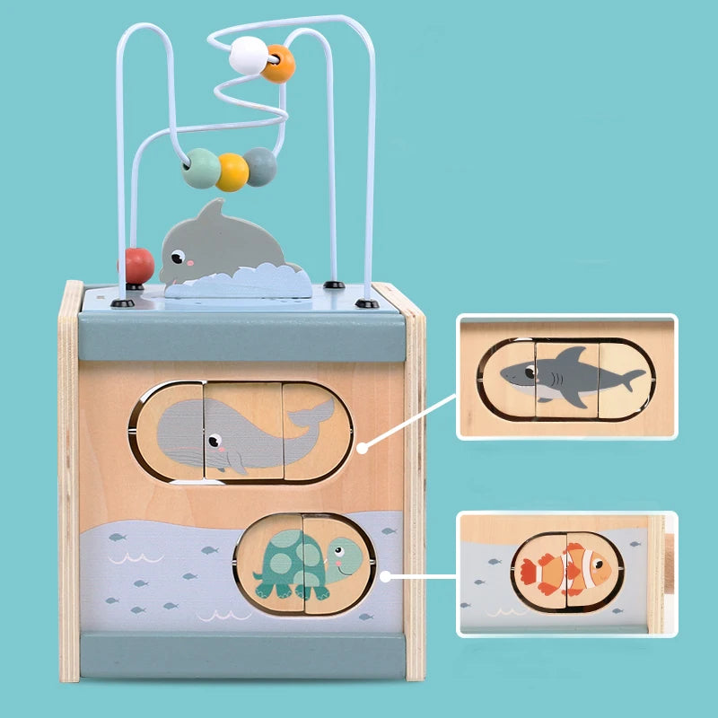 Activity cube with bead maze top panel